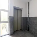 Citycenter Cekalusa Two Bedroom With Garden Appartamento Sarajevo