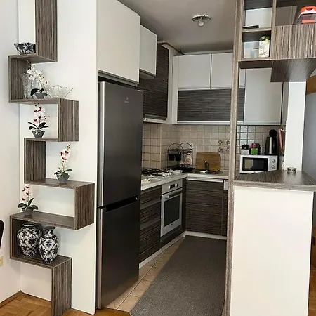 Citycenter Cekalusa Two Bedroom Apartment With Garden Apartamento Sarajevo